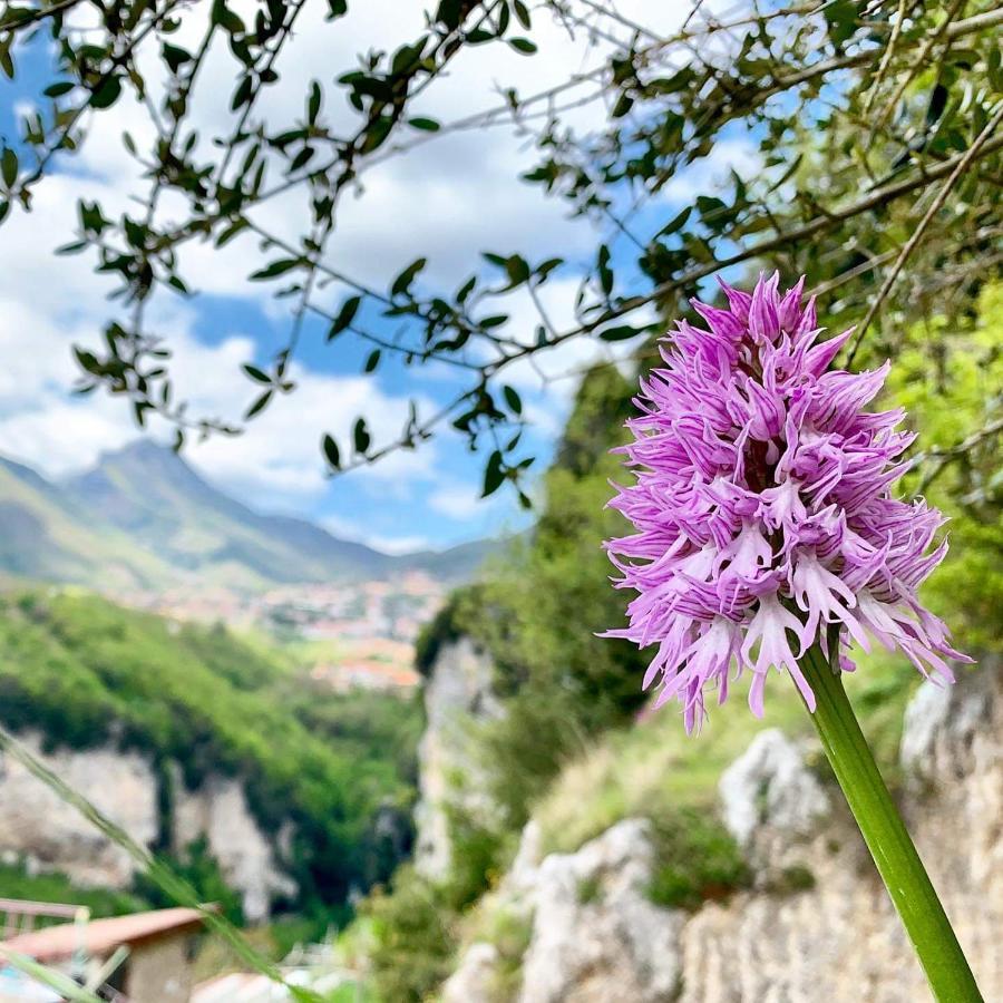Dafne Holiday Agerola Esterno foto